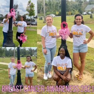 Breast Cancer Awareness Collage 2021