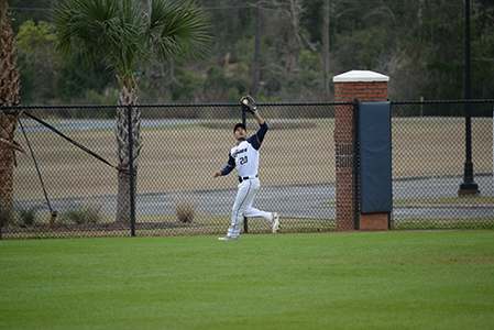 A Chipola baseball outfielder catches a fly ball near the fence.